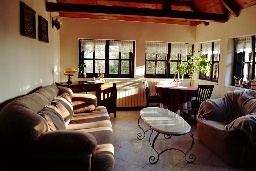Villa Castelul Maria Banpotoc Ruang foto