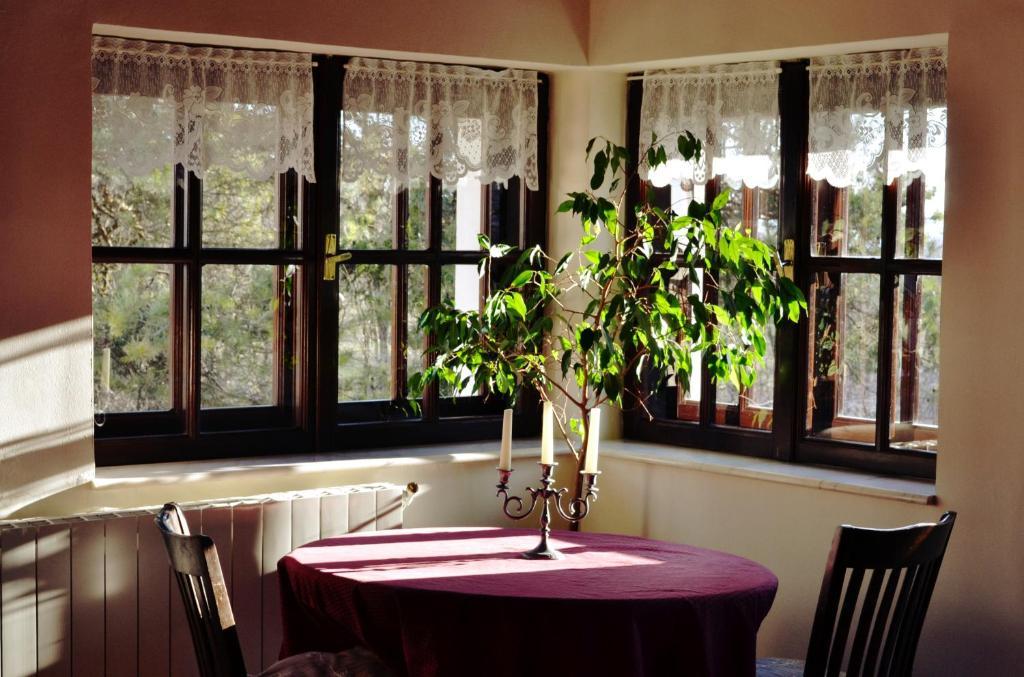 Villa Castelul Maria Banpotoc Ruang foto