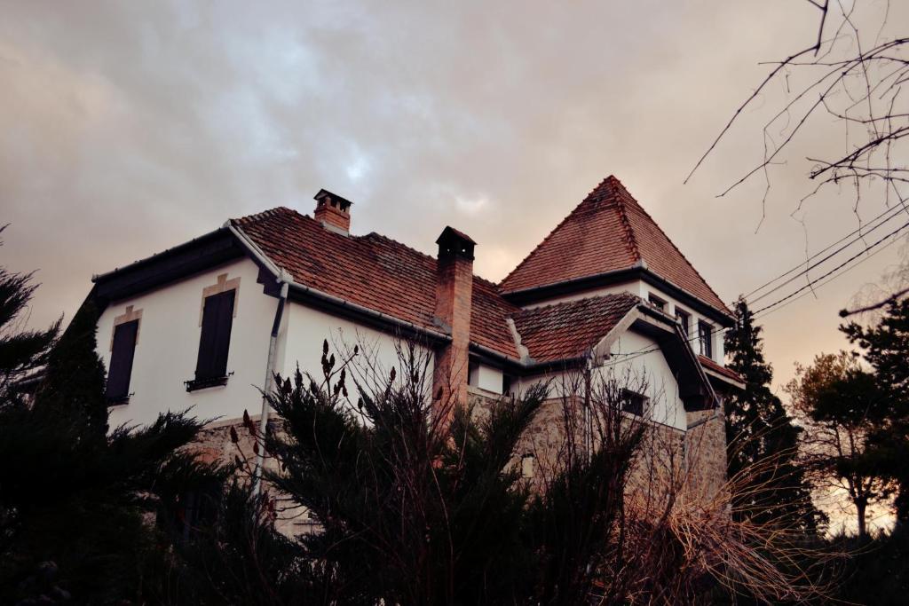Villa Castelul Maria Banpotoc Bagian luar foto